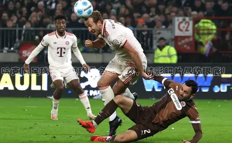 球盟会手机网页版百度数据开放平台哈克尼足球俱乐部球员名单一览，精彩照片尽收眼底！