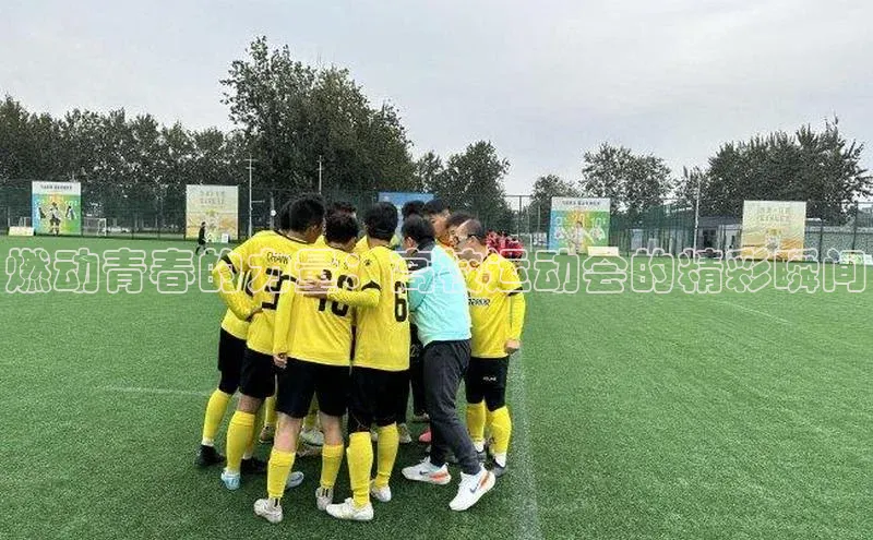 燃动青春的力量：高校运动会的精彩瞬间