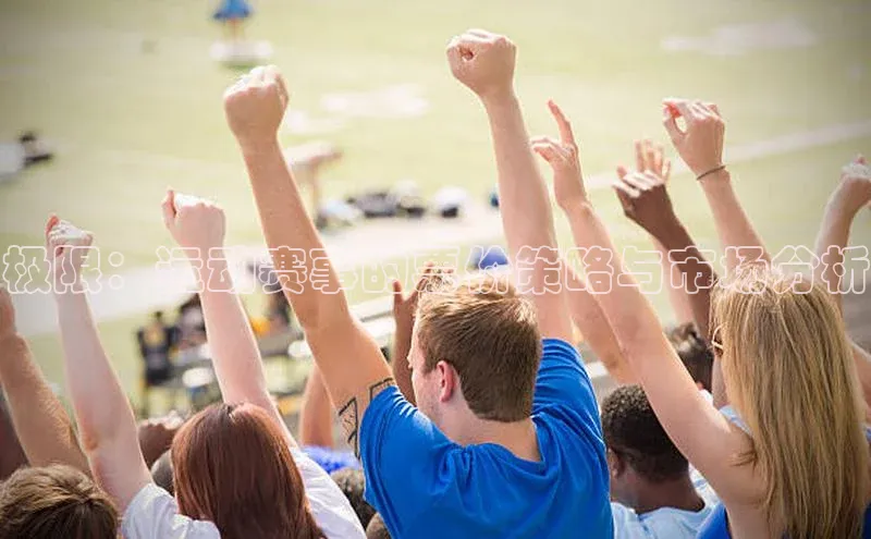 极限：运动赛事的票价策略与市场分析