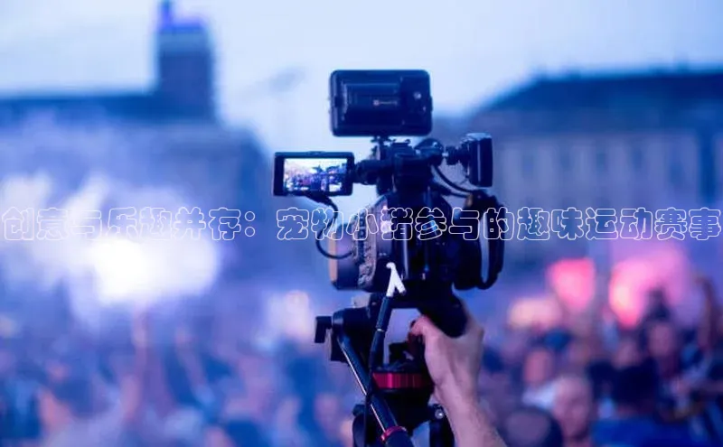 创意与乐趣并存：宠物小猪参与的趣味运动赛事