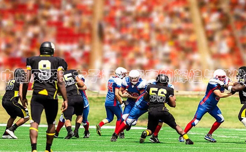 巾帼风采：女子运动赛事的辉煌与挑战