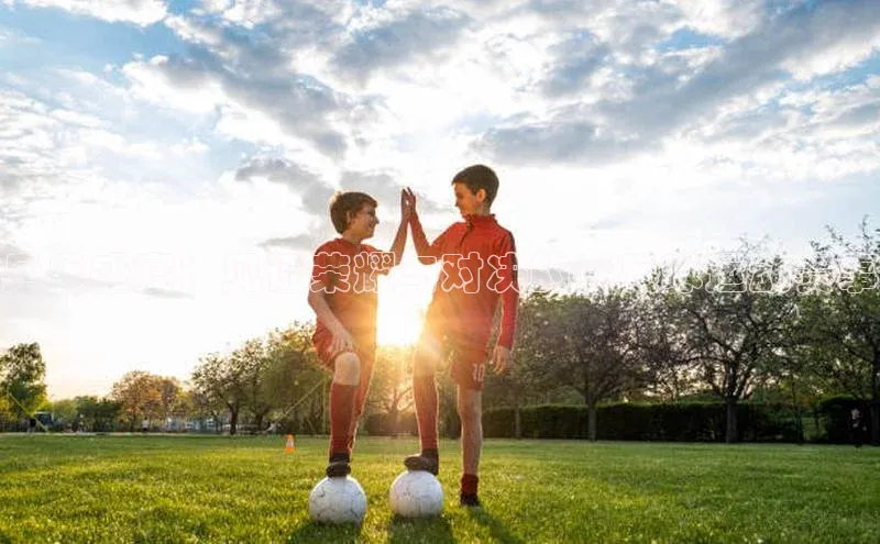 乒乓盛宴：见证荣耀与对决的乒乓球运动赛事