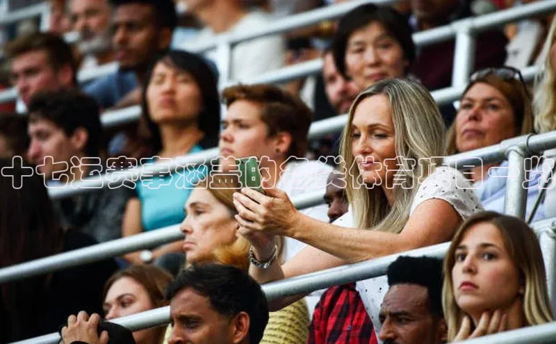 十七运赛事涵盖的各类体育项目一览