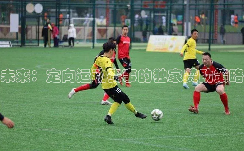 未来：定向运动赛事的独家赞助策略