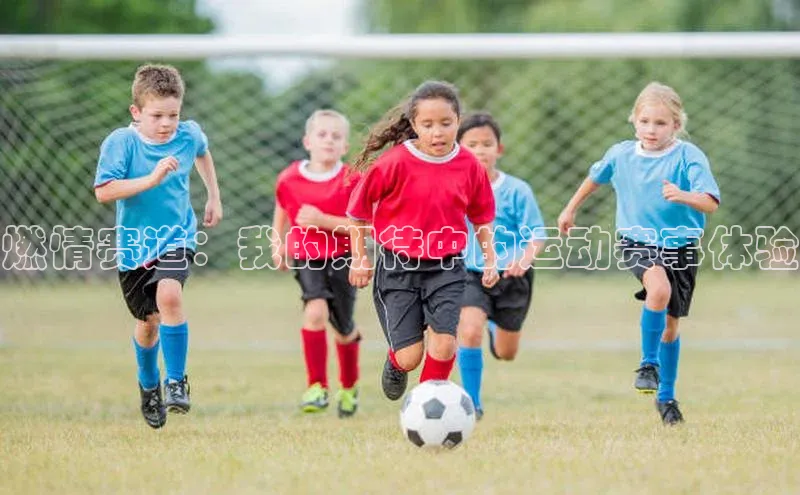 燃情赛道：我的期待中的运动赛事体验