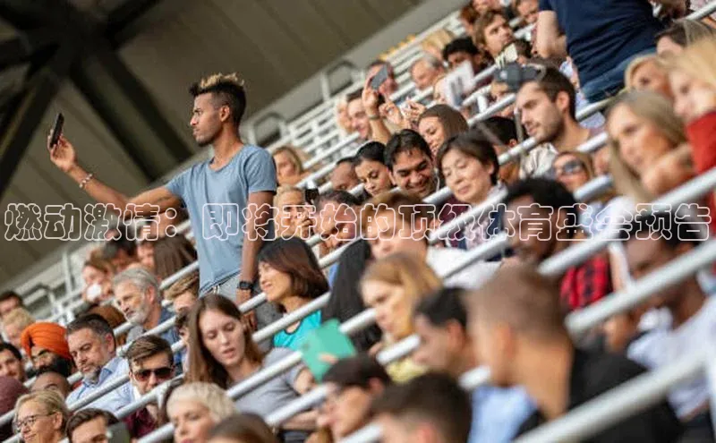 球盟会登录入口网页版