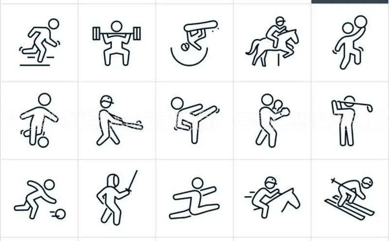 构建冰球运动的完美舞台：赛事组织架构详解