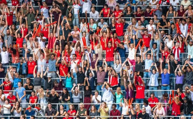 深圳体育盛事：未来，构建运动梦想的合作伙伴-深圳运动赛事承办机构简介与合作机会