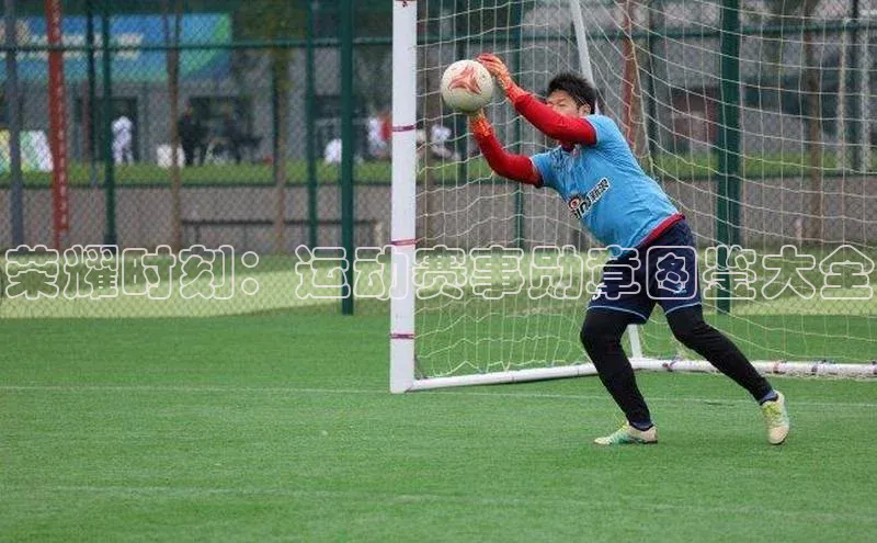 荣耀时刻：运动赛事勋章图鉴大全