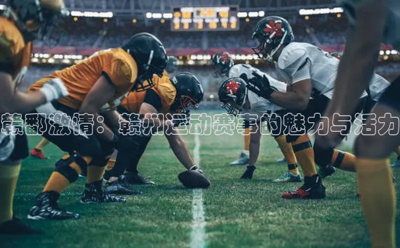 赣鄱激情：赣州运动赛事的魅力与活力