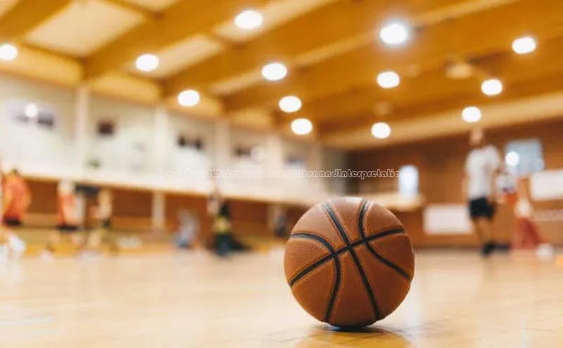 SportsEventWatching:TranslationandInterpretation