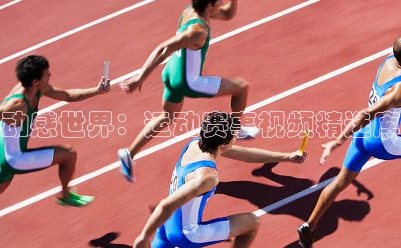 动感世界：运动赛事视频精选库