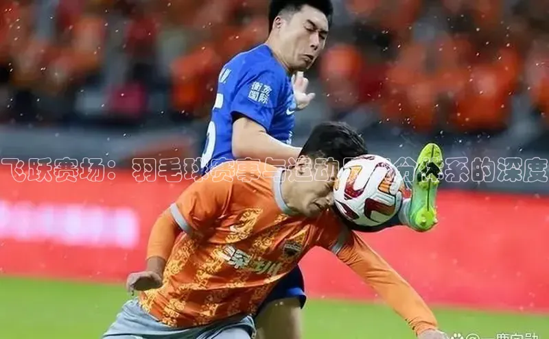 飞跃赛场：羽毛球赛事与运动员积分体系的深度