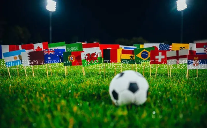 热血沸腾的赛场：一场运动会观战赛事的精彩瞬间