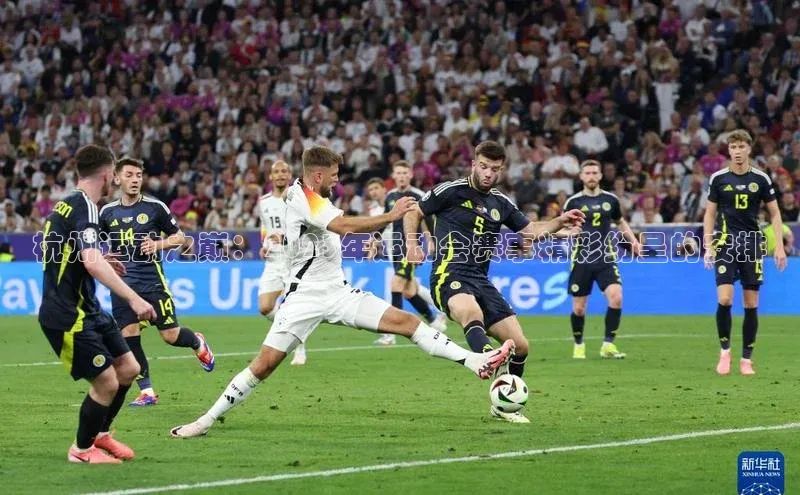 杭州运动之巅：2023年运动会赛事精彩纷呈的安排