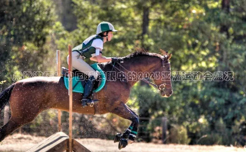 点燃激情：中国球迷眼中的2023亚洲运动会盛况