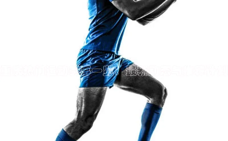 球盟会官网入口下载