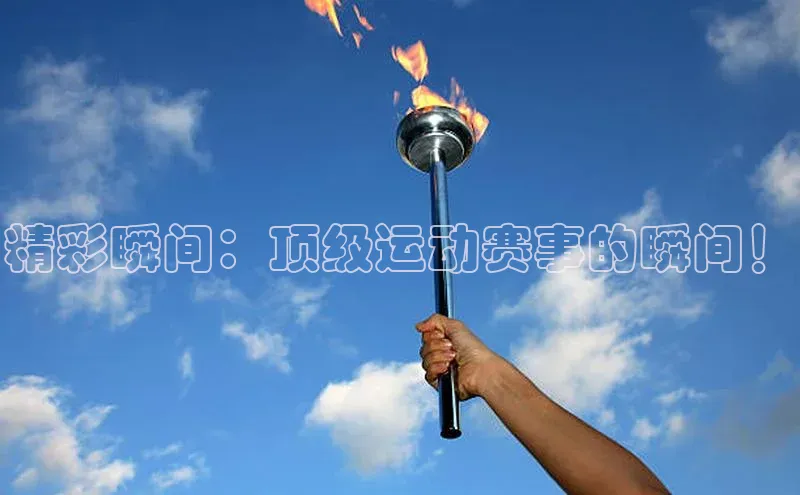 球盟会手机版登录