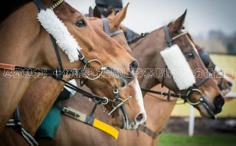 球盟会官方登录平台入口